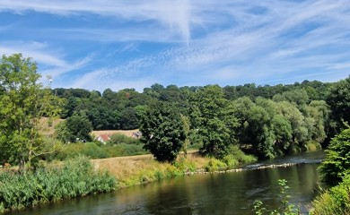 img-7